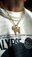 Icy Goat Chain